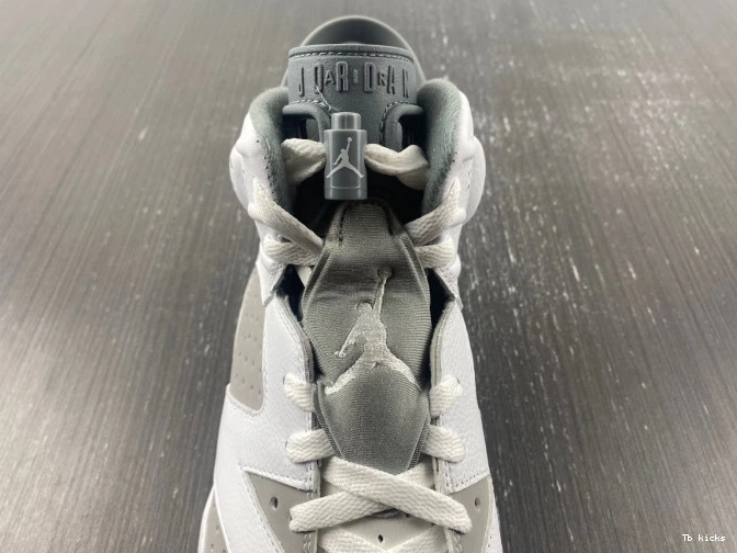 Reps TBK CT8529-100 Cool Jordan Grey Air 6 0709